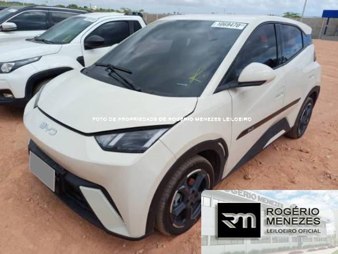 BYD DOLPHIN MINI 24/25