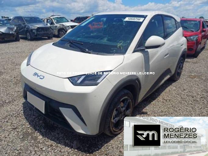 BYD DOLPHIN MINI 25/26